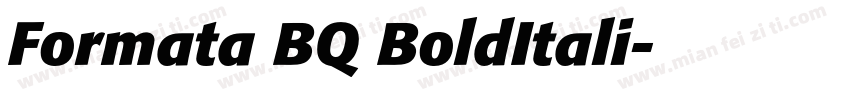 Formata BQ BoldItali字体转换